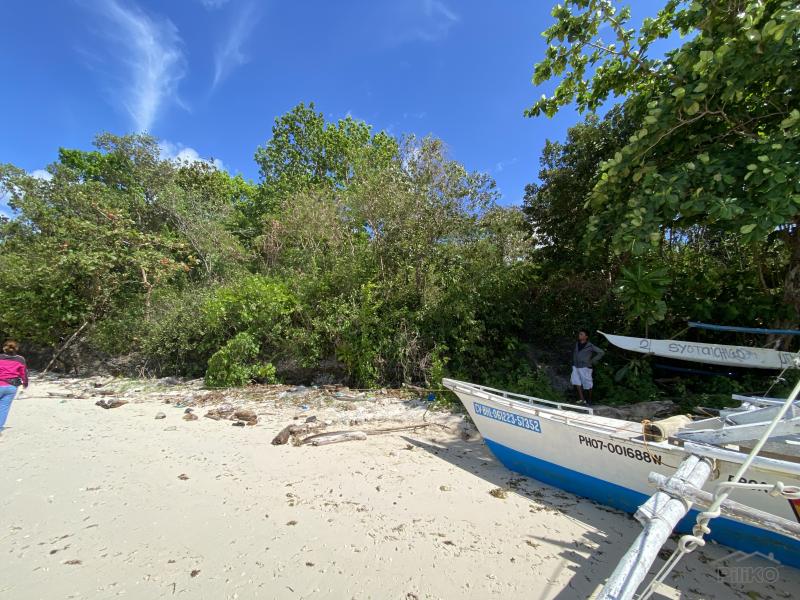 Commercial Lot for sale in Siquijor - image 13