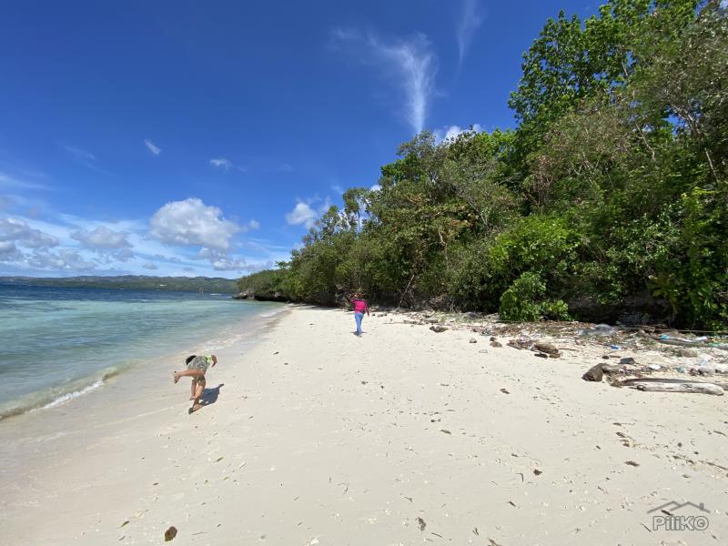 Commercial Lot for sale in Siquijor - image 14