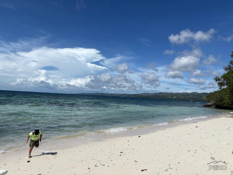 Commercial Lot for sale in Siquijor - image 2