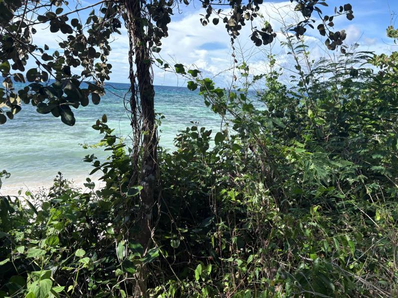 Commercial Lot for sale in Siquijor - image 5