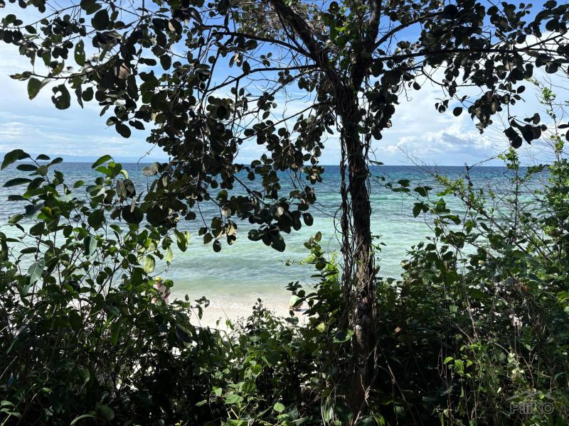 Commercial Lot for sale in Siquijor - image 7