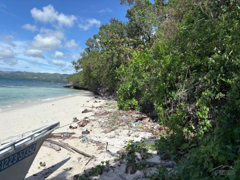 Commercial Lot for sale in Siquijor - image 8
