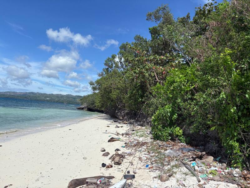 Commercial Lot for sale in Siquijor - image 9