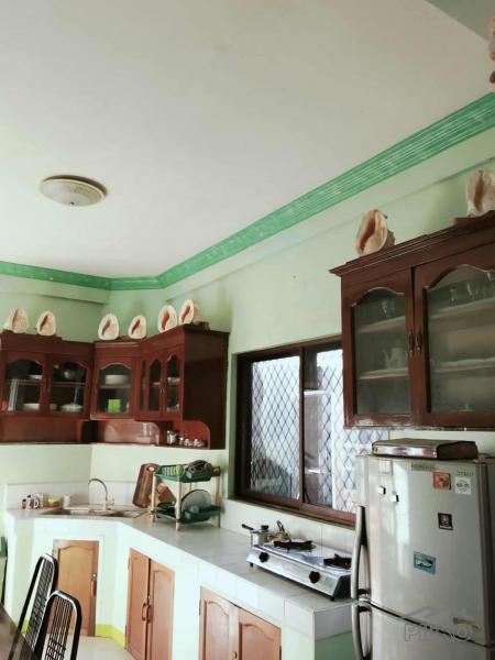 3 bedroom House and Lot for sale in Siquijor - image 15