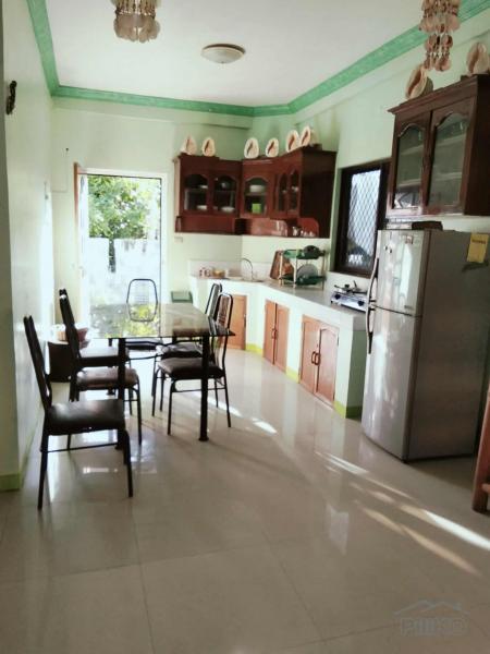 3 bedroom House and Lot for sale in Siquijor - image 19