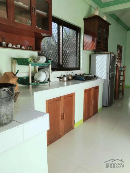 3 bedroom House and Lot for sale in Siquijor - image 2