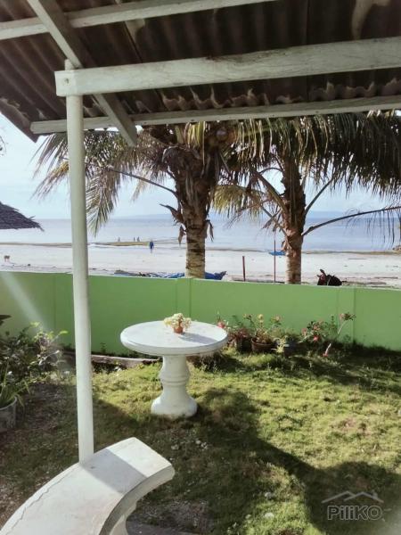 3 bedroom House and Lot for sale in Siquijor - image 6