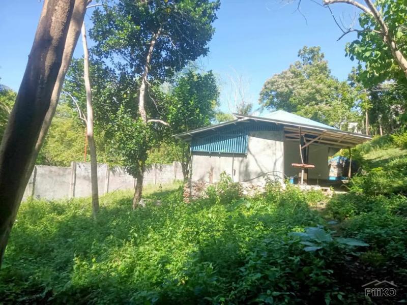 4 bedroom House and Lot for sale in San Juan - image 11