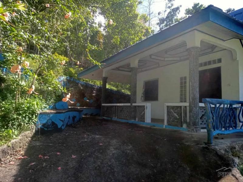 4 bedroom House and Lot for sale in San Juan - image 12