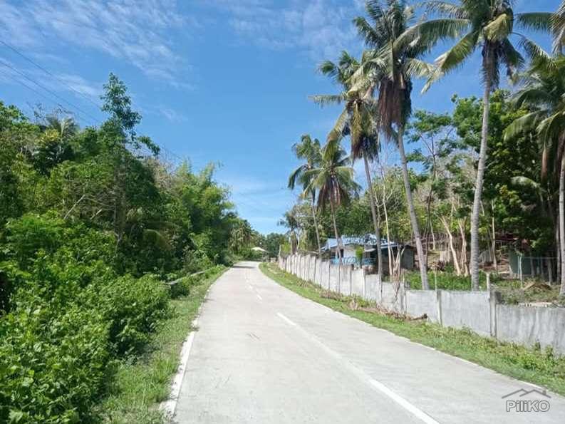 4 bedroom House and Lot for sale in San Juan - image 13