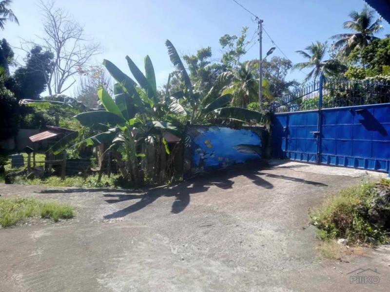 4 bedroom House and Lot for sale in San Juan - image 17