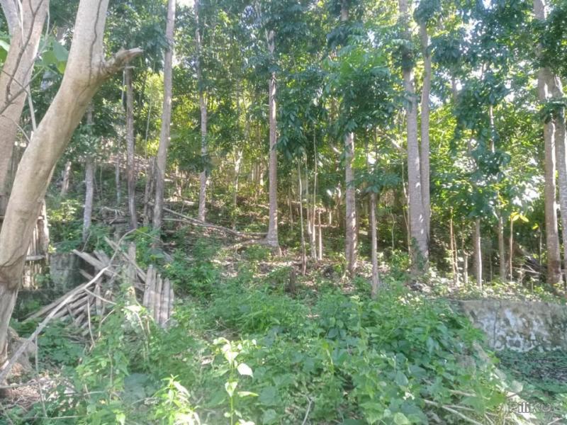 4 bedroom House and Lot for sale in San Juan in Siquijor - image