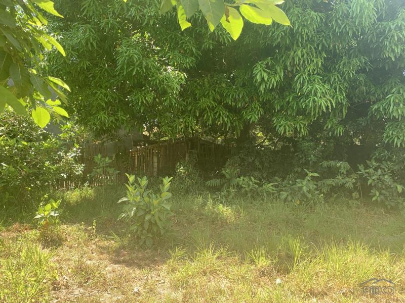 Residential Lot for sale in Dumaguete in Negros Oriental