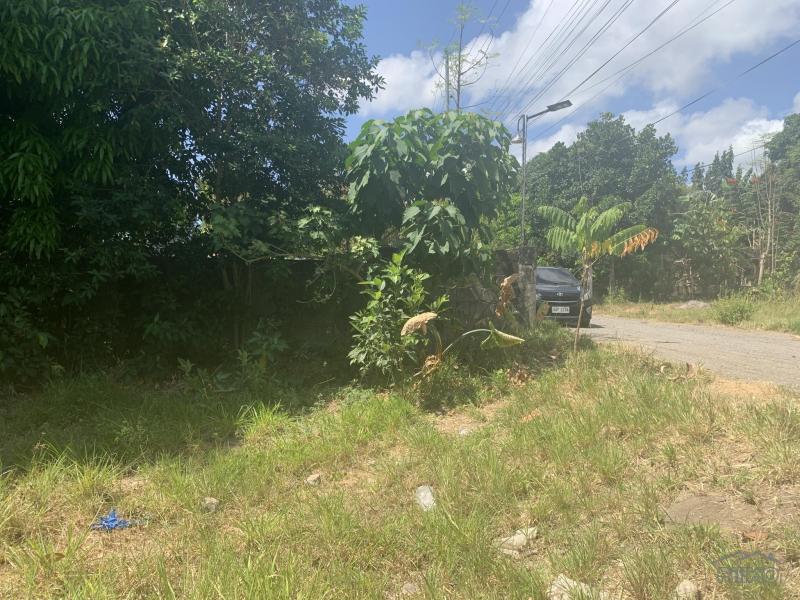 Residential Lot for sale in Dumaguete in Philippines