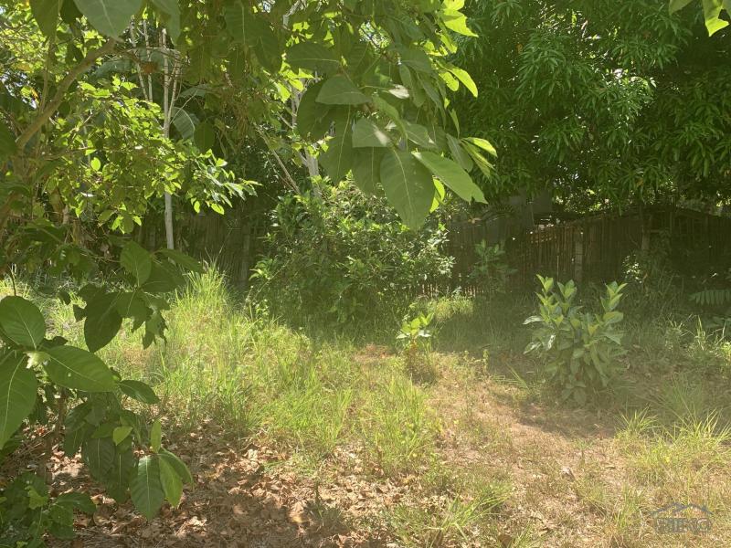 Picture of Residential Lot for sale in Dumaguete in Negros Oriental