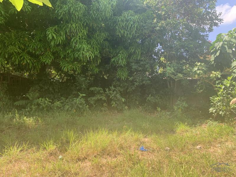 Residential Lot for sale in Dumaguete in Negros Oriental - image
