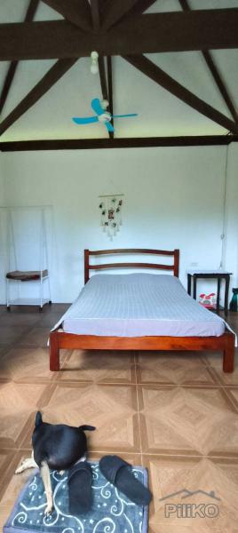3 bedroom House and Lot for sale in Siaton - image 10