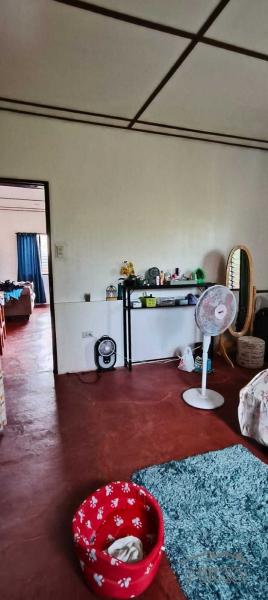 3 bedroom House and Lot for sale in Siaton - image 11