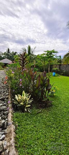 3 bedroom House and Lot for sale in Siaton - image 12