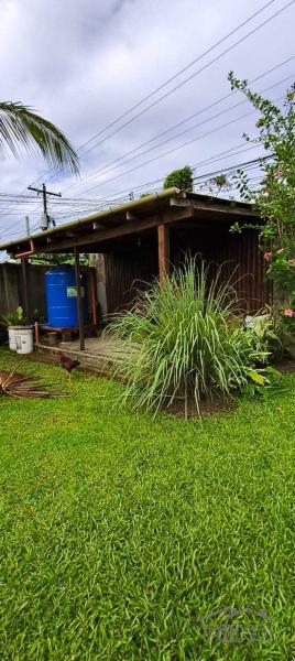 3 bedroom House and Lot for sale in Siaton - image 14