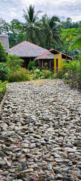3 bedroom House and Lot for sale in Siaton - image 15