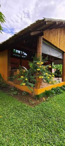 3 bedroom House and Lot for sale in Siaton - image 16