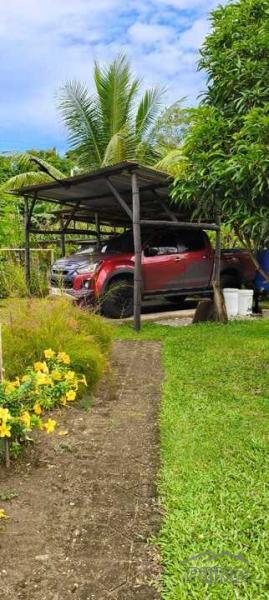 3 bedroom House and Lot for sale in Siaton - image 17