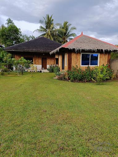 3 bedroom House and Lot for sale in Siaton - image 19