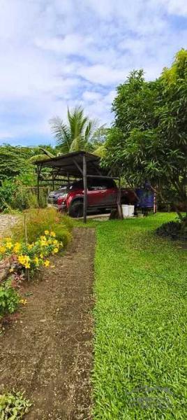 3 bedroom House and Lot for sale in Siaton - image 20
