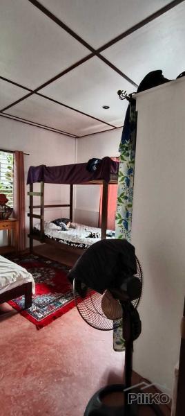 3 bedroom House and Lot for sale in Siaton - image 9