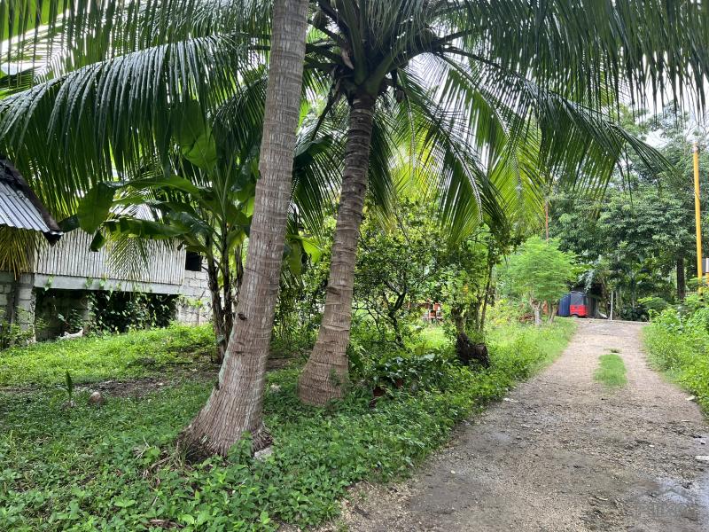 Residential Lot for sale in Larena - image 10