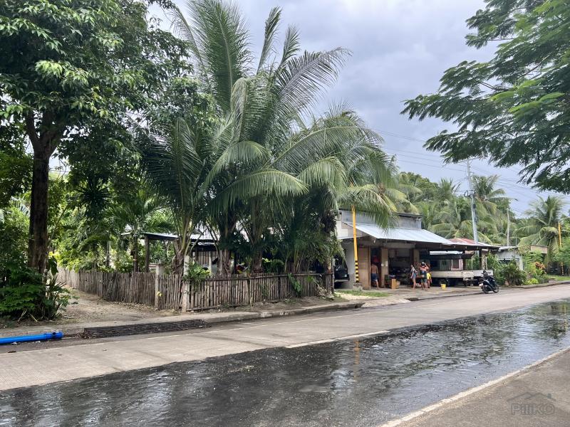 Residential Lot for sale in Larena - image 11