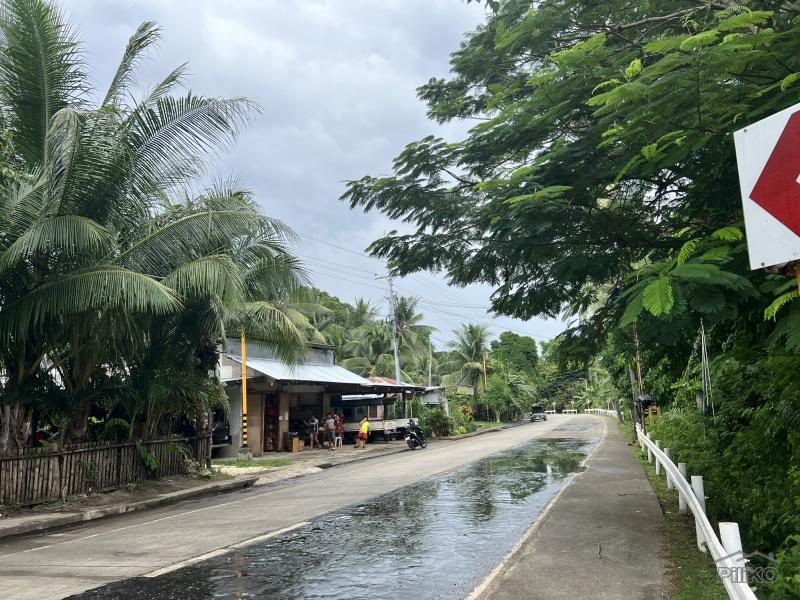 Residential Lot for sale in Larena - image 12