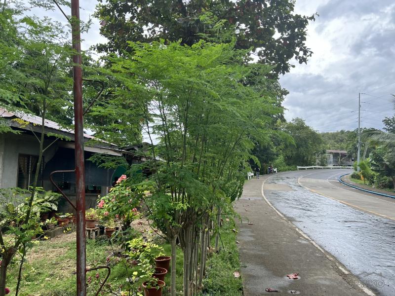 Residential Lot for sale in Larena - image 13