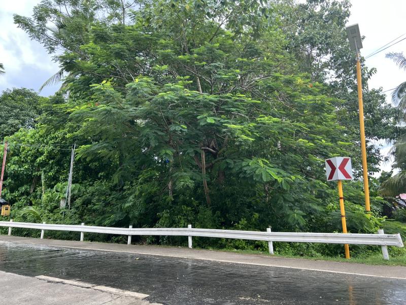 Residential Lot for sale in Larena - image 14