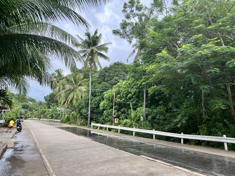 Residential Lot for sale in Larena - image 15