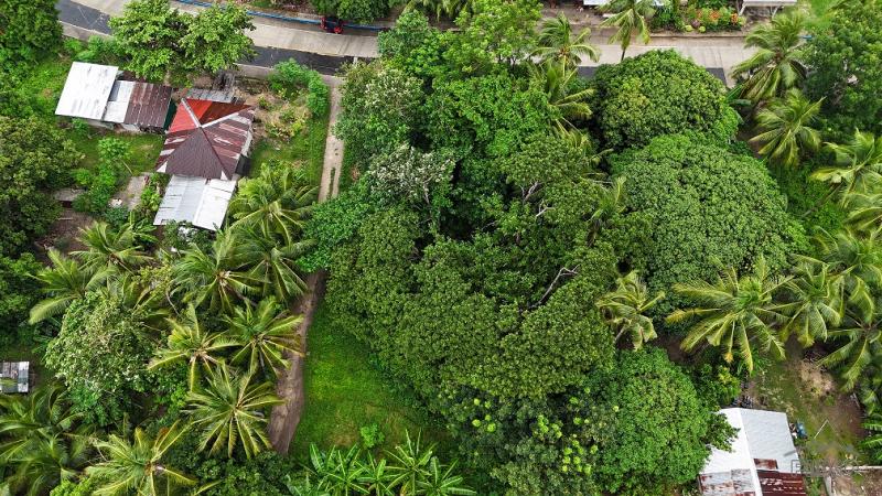 Residential Lot for sale in Larena - image 4