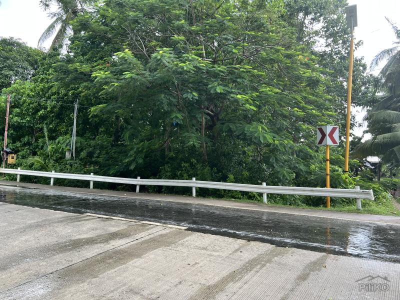 Residential Lot for sale in Larena - image 5