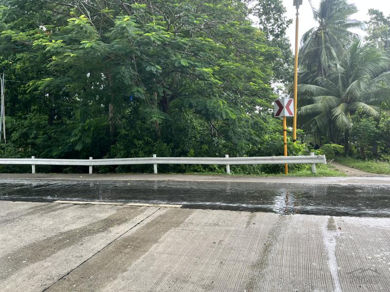 Residential Lot for sale in Larena - image 6