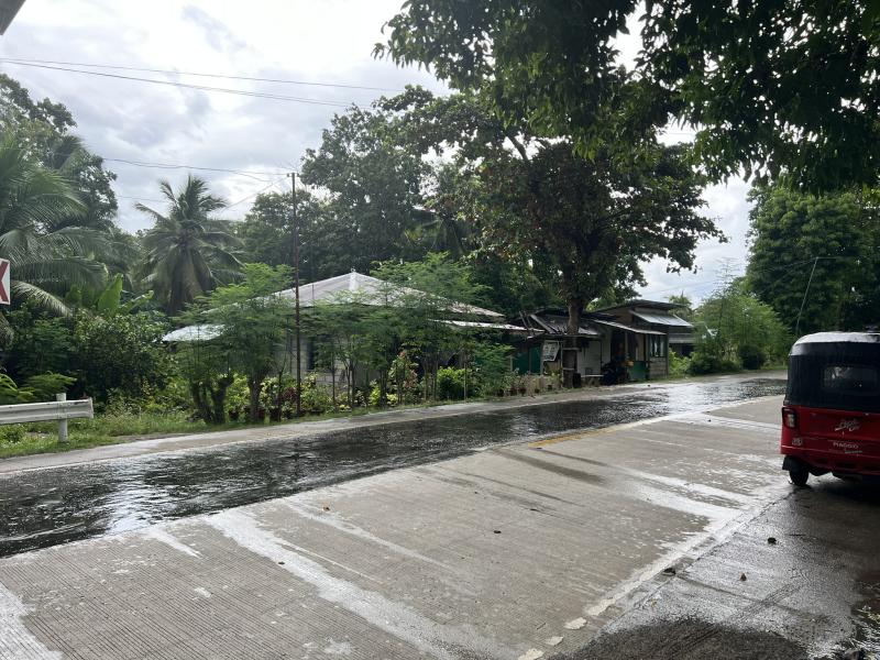 Residential Lot for sale in Larena - image 7