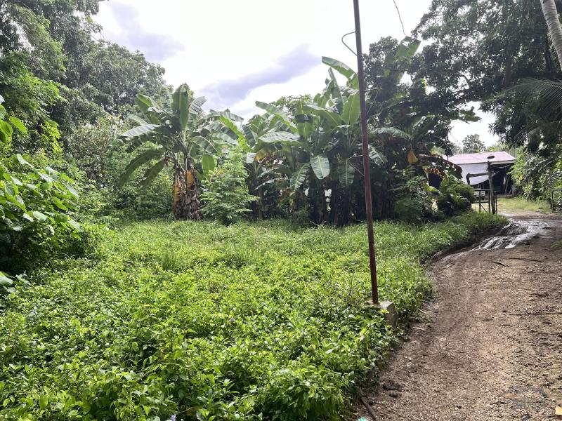 Residential Lot for sale in Larena - image 8