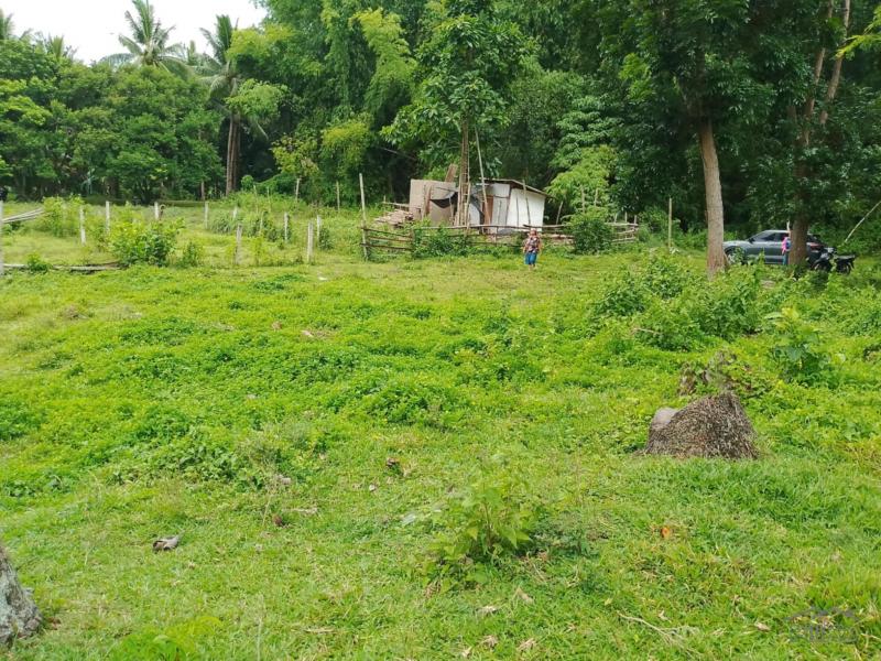 Other lots for sale in Valencia - image 10