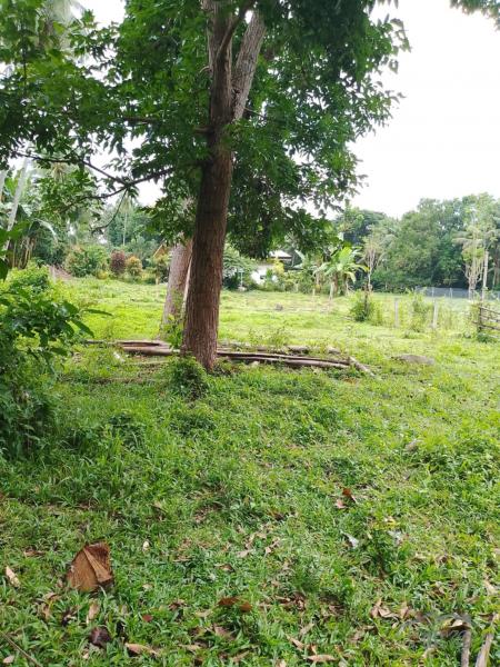 Other lots for sale in Valencia - image 11