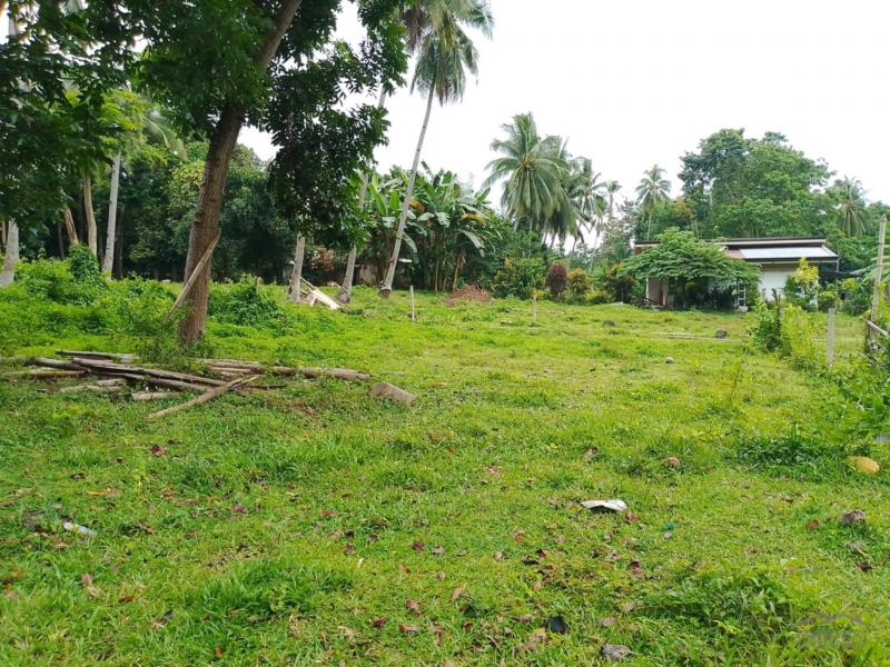 Other lots for sale in Valencia - image 12