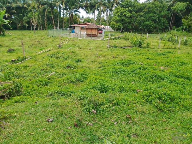 Other lots for sale in Valencia - image 13