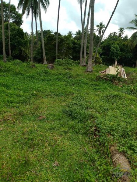 Other lots for sale in Valencia - image 14