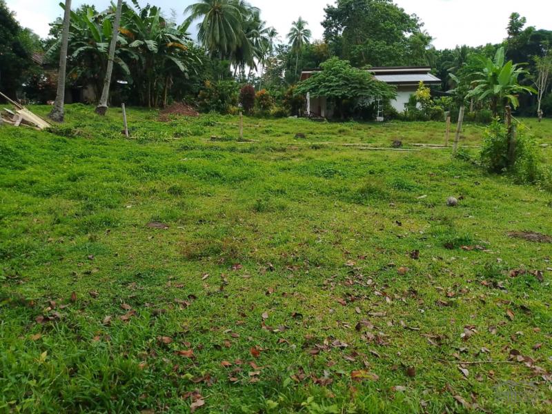 Picture of Other lots for sale in Valencia