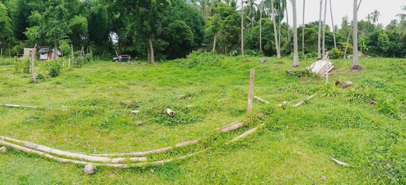 Other lots for sale in Valencia