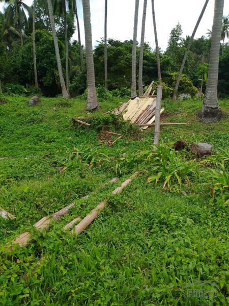 Other lots for sale in Valencia in Negros Oriental