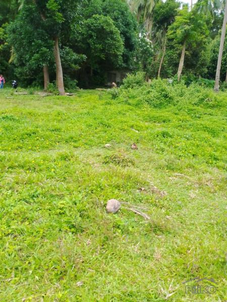 Other lots for sale in Valencia in Philippines